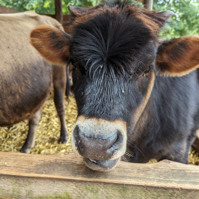 Wildpark Saerbeck Wildpark Saerbeck